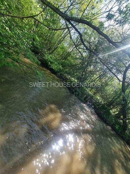 Teren valea Sebesului - 8