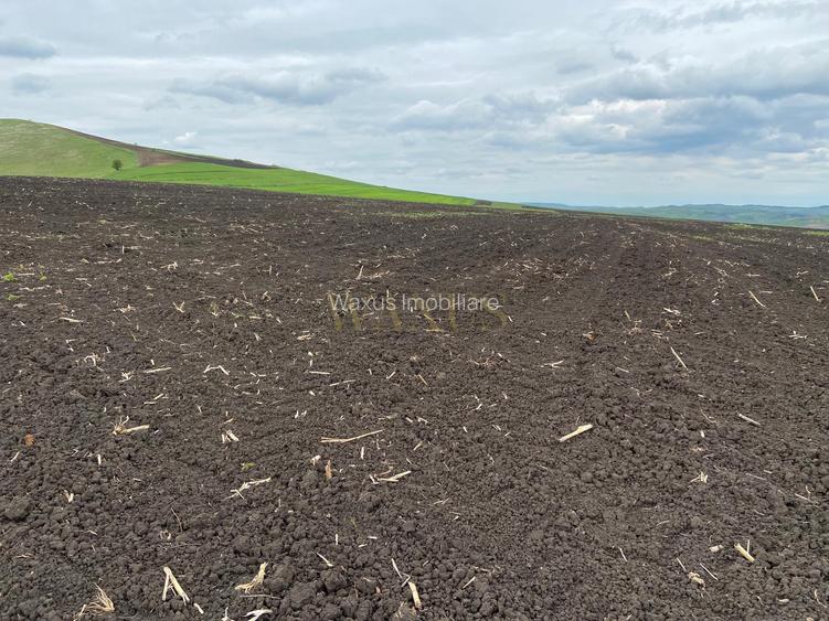 Teren extravilan, 10.200mp, Țagu - 7