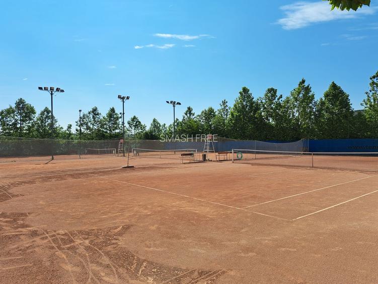 Teren intravilan 3707 mp - Aviatiei - 8