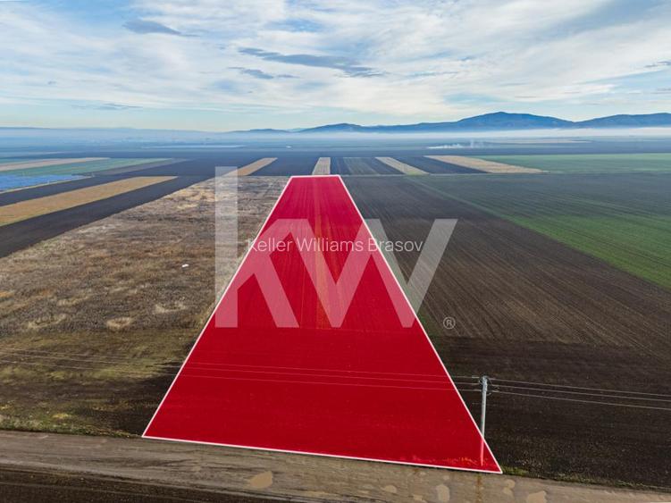 Teren exceptional pentru investitii industriale langa Brasov - 10