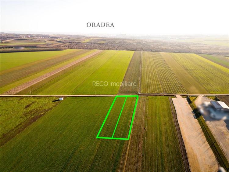 RECO Teren extravilan in Biharia 5500 mp zona intravilana - 5