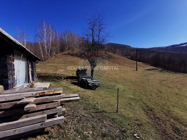 De vânzare teren intravilan 10,100 mp, cu anexă, Munteni - 10