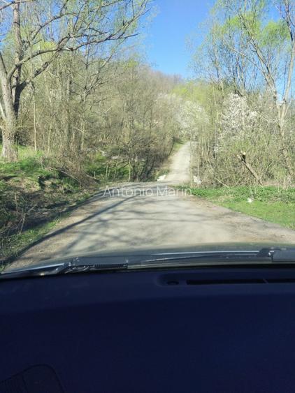 Teren intravilan com.Drajna, sat Cătunu, 12 km de Vălenii de Munte, jud. Prahova - 9