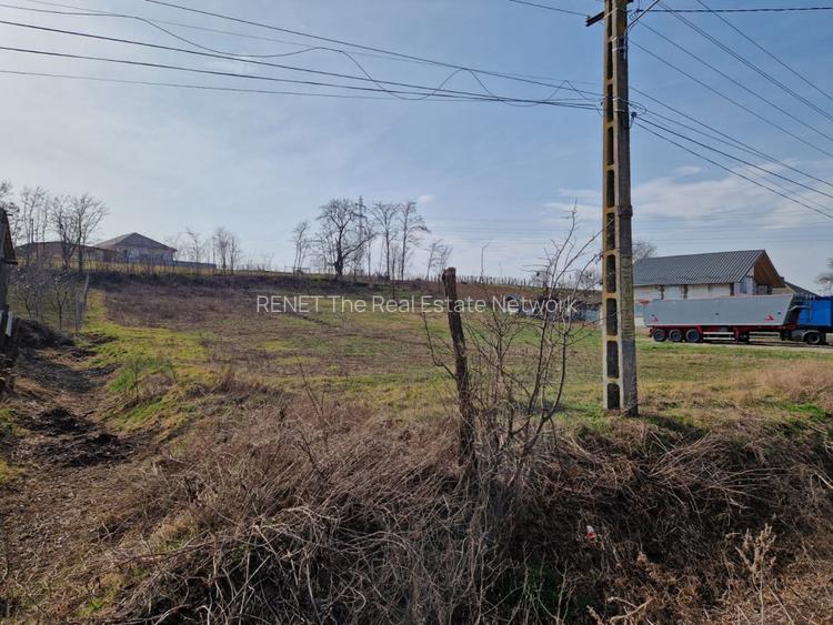 Teren - Roman  -Trifesti  - 2