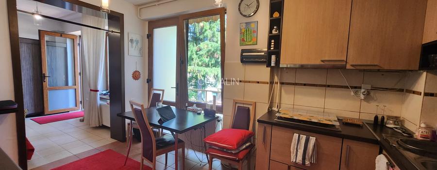 Apartament cu 4 camere la casa pe tot etajul 1 in Centrul Civic, 119 mp, garaj! - 10