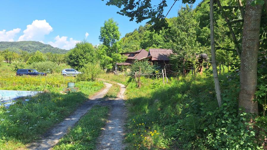 VANZARE ANSAMBLU CASUTE BRADULET ARGES - 15