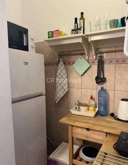 Garsoniera Cismigiu - 5