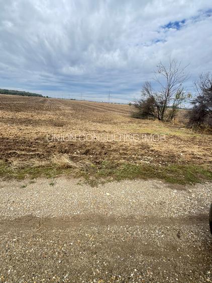 MAGURELE iF LOCALITATEA PRUNI ,LOTURI DE VANZARE - 4