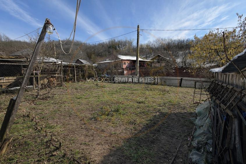 Casa Batraneasca la 8 km de Topoloveni - 3