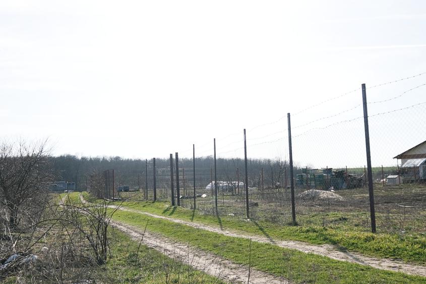 GANEASA, langa lac, padure si vile, 1075 mp. teren construibil - 2