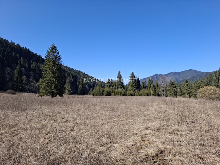 Teren Intravilan | Schitu Tarcău | 2089MP | Izvor | Platou - 2