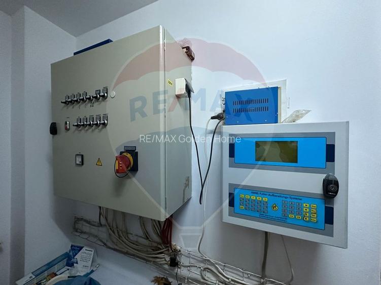 Ferma porcine la cheie - 9