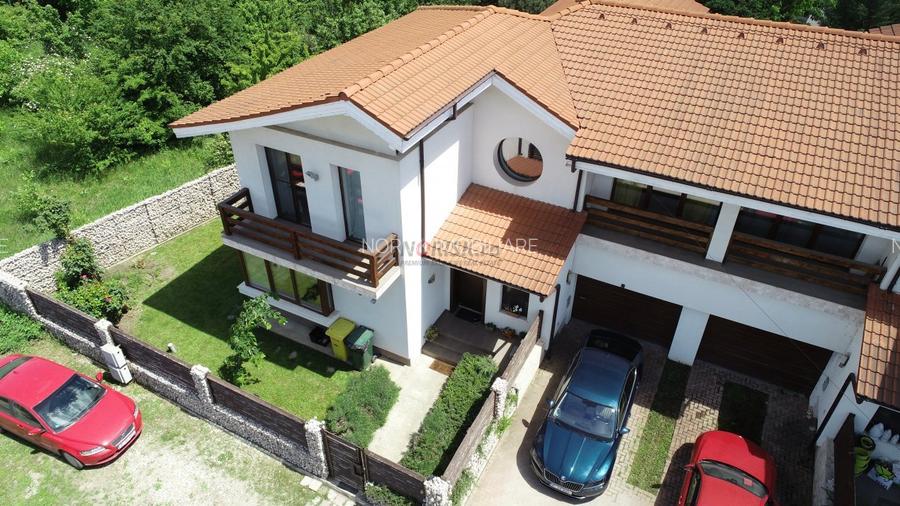 Vila Deosebita - Mogosoaia - 2