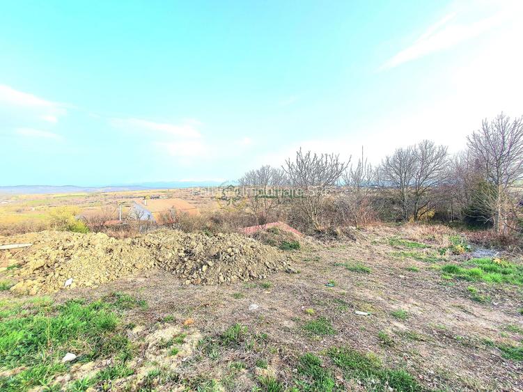 Descoperă Daia: Teren Intravilan 1000mp cu Vedere Superbă - 3