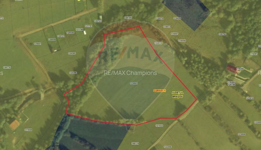Teren intravilan | Panorma Bucegi, Magura, P. Craiului - 3