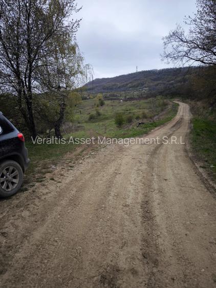 Teren de vanzare situat in Bistrita, zona Drumul Tărpiului - 3
