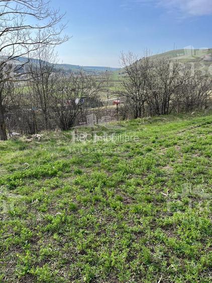 Teren in suprafata de 6300 mp extravilan in Garbau - 7