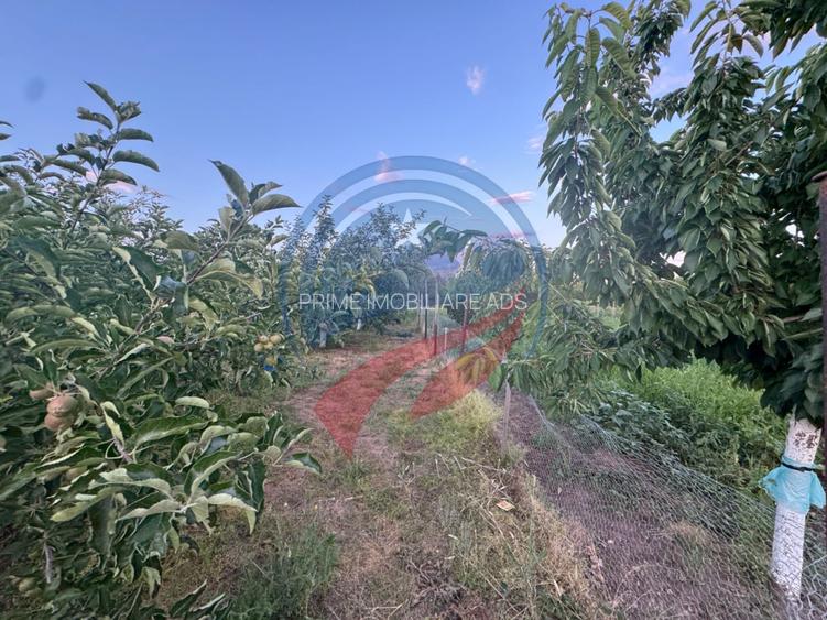 Casă de vânzare în Comuna Orodel – proprietate îngrijită, gata de locuit și cu p - 5