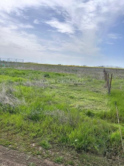 Teren 400 mp de vânzare Solacolu | lângă FarmPark / Domeniul Solacolu - 4
