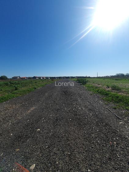 Vanzare teren cu UTILITATI in Branesti langa LAC si PADURE - str Lotusului - 6