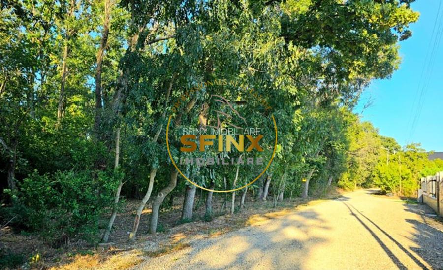 Casa pe parter, Balotesti, intr-o zona linistita in proximitatea padurii. - 11