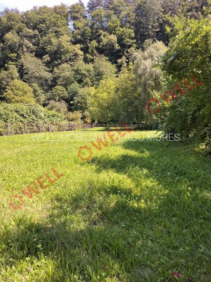 De vânzare spațiu comercial situat în Sovata! - 8