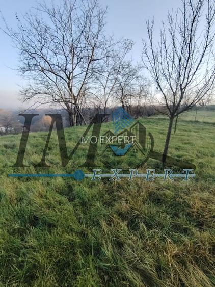 Teren intravilan în Paclisa 1785mp. - 7