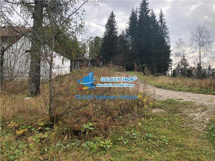 Vanzare teren 850 mp Predeal Cioplea - Belvedere - 5