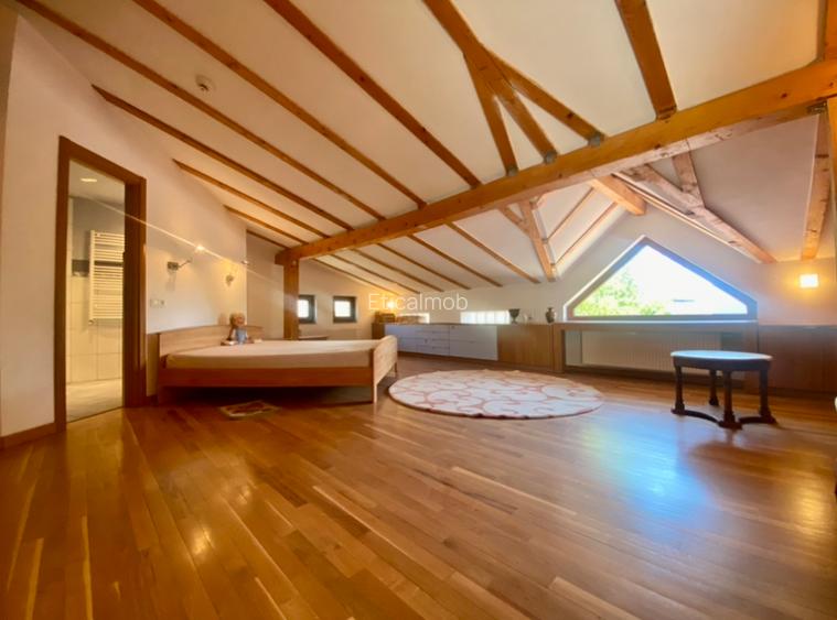 Vila de lux lângă Curtea Domnească – investiție premium Târgoviște, teren 1.700 - 56