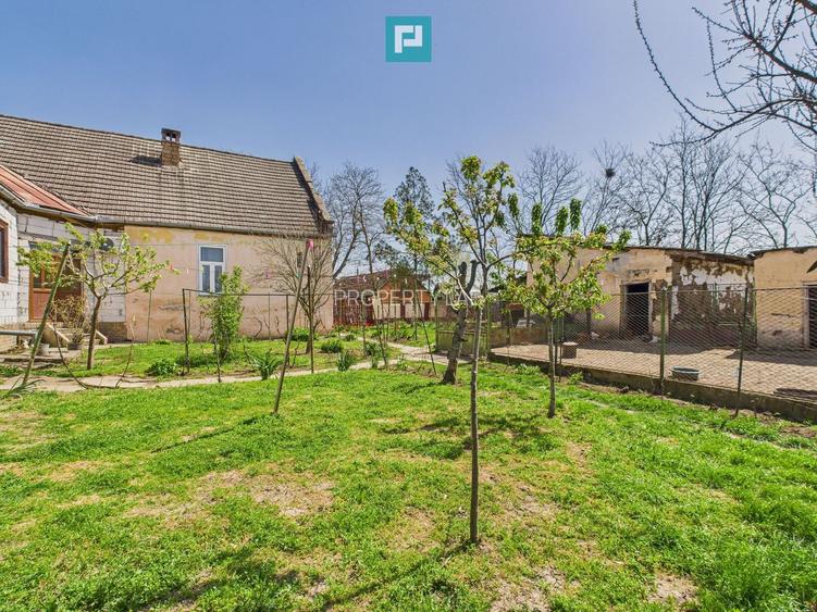 Casă cu grădină mare la 30 km de Timișoara - 15