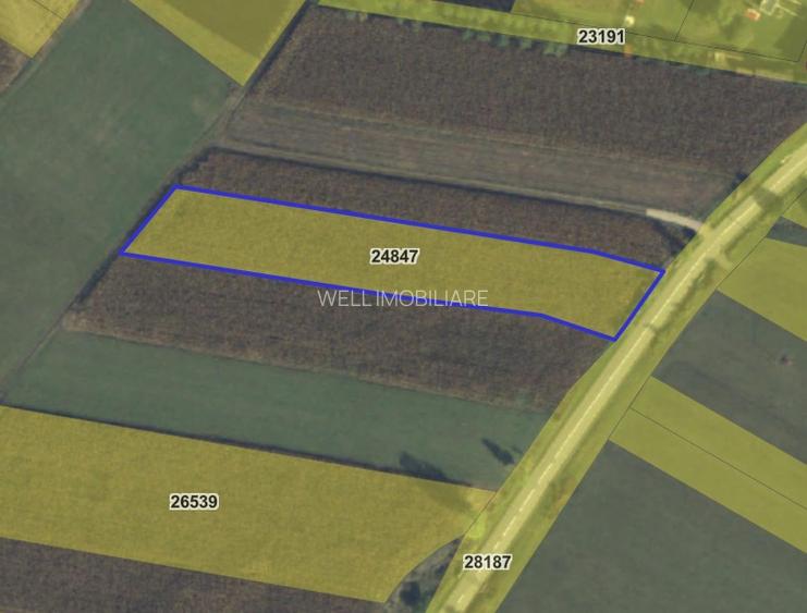 Teren intravilan de vânzare în Bicfalău! - 9