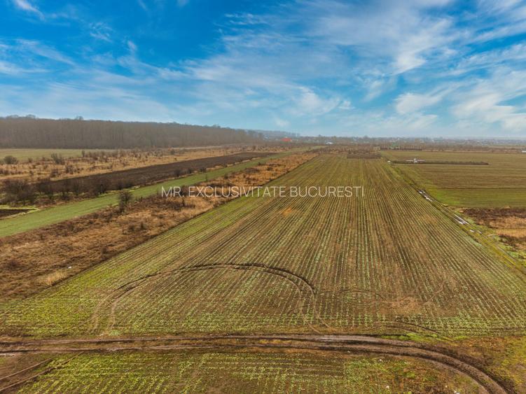 Teren intravilan 5040 mp, deschidere dubla - 5