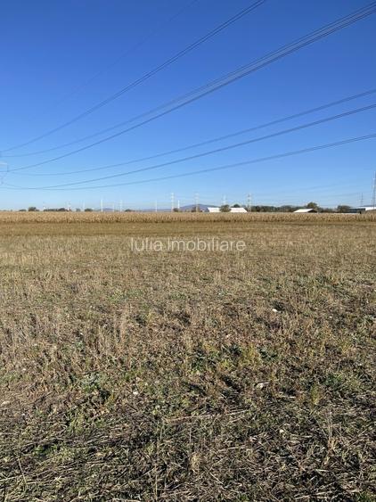 Teren intravilan Triaj - 8