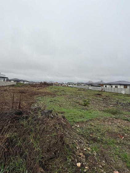 Corbeanca-Tamasi Oportunitate excelenta pentru dezvoltare rezidentiala - 5