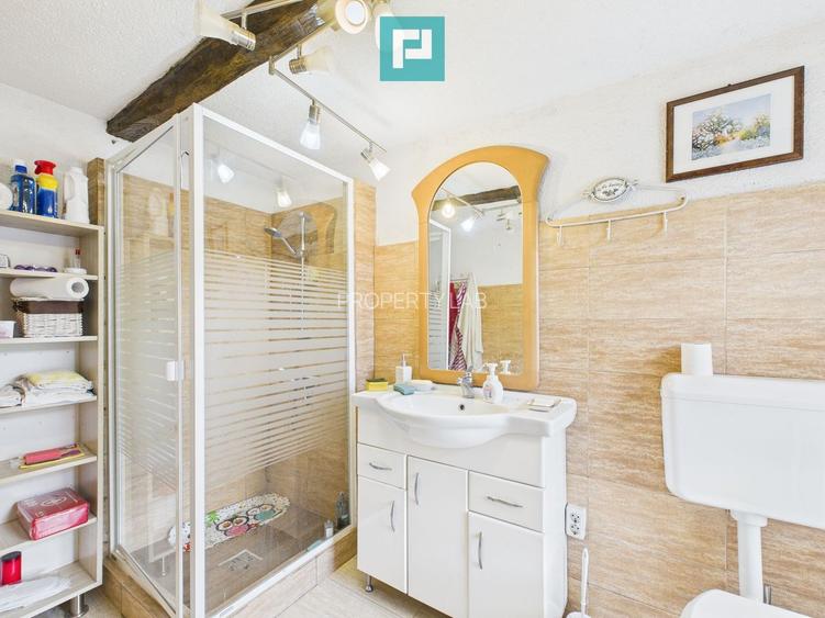 Casă deosebită la Urvișu de Beliu - 13