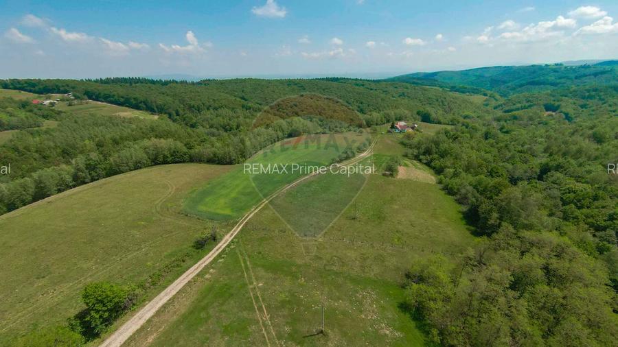 De vânzare casă cu teren și pădure 55706 mp - Șinteu, Valea Târnei - 18