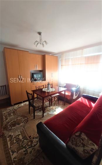 Garsoniera Zizinului - 3