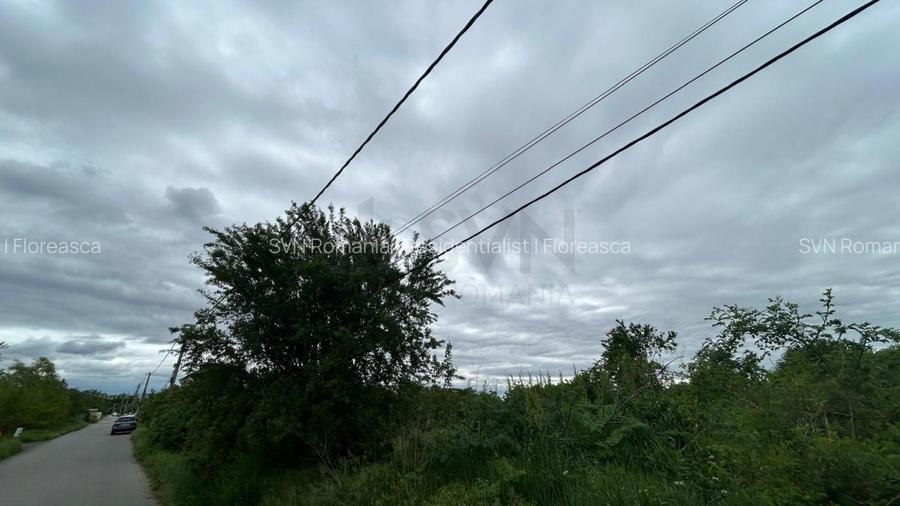 REL4001302 Teren sector 1 Centura DN1 Padurea Baneasa - 3