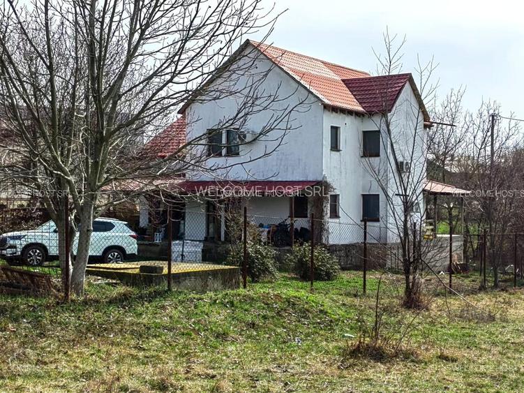 Teren intrav 2000 mp,  casa GRATIS,Padurea Snagov, asfalt, utilitatile racordate - 4