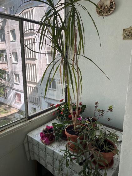 Închiriez apartament 3 camere - 3