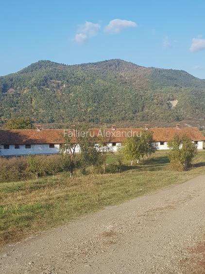 vand sau inchiriez  17500 mp intravilan in Cislau , sau parcele de 500 - 1000 mp - 3