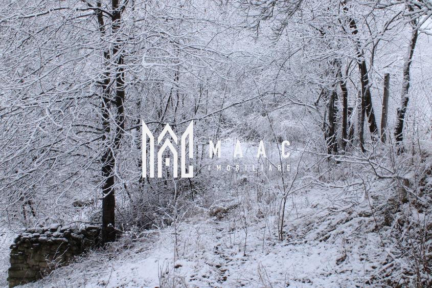 Teren cu izvor de apă minerală  Dangești, Punctul Valea Mare - 25