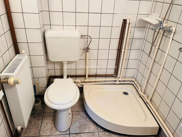 Spatiu comercial stradal de inchiriat Stefan cel Mare - zona Podisor - 7