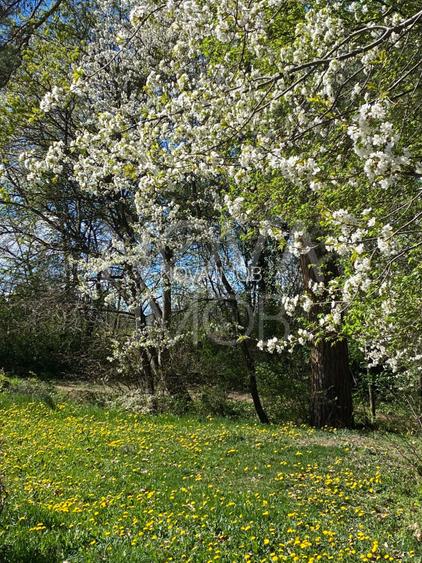 Casa individuala  - vedere spre padure - Parcul Sub Arini  - 39
