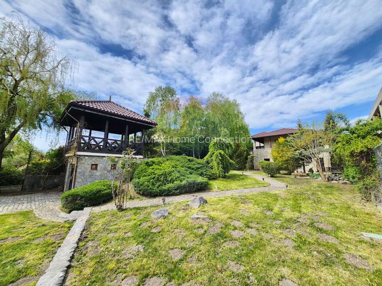 Arhitectura din Piatra si Lemn pe Malul Lacului Mogosoaia - 2