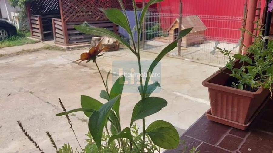 Proprietate cu doua imobile, com Dragutesti. Comision 0% - 17