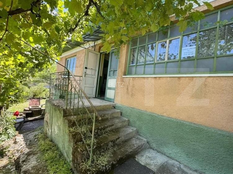 EXCLUSIVITATE! Casă tradițională cu teren 1513 mp, cu anexe, în Cojocna - 2