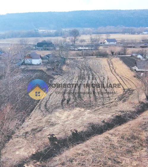 Teren INTRAVILAN  10.515 mp - BODEȘTI, judetul NEAMȚ - 8