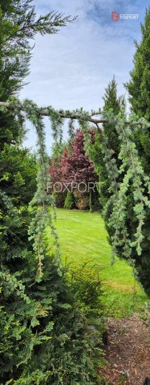 COMISION 0% Casa individuala cu 5 camere si teren de 792 mp, zona Mosnita Noua! - 32