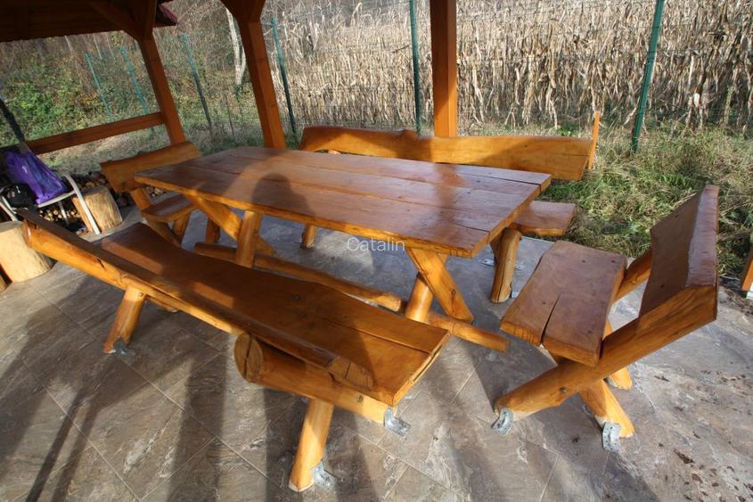 Proprietar vand parcela ptr. cabana de vacanta in Muntii Poiana Ruscai - 15